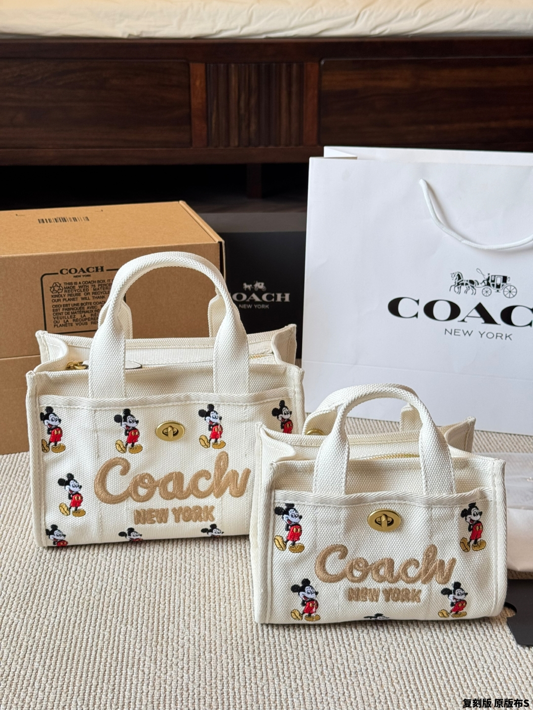 coach bag 249